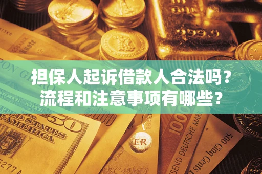 北京担保人起诉借款人合法吗？流程和注意事项有哪些？