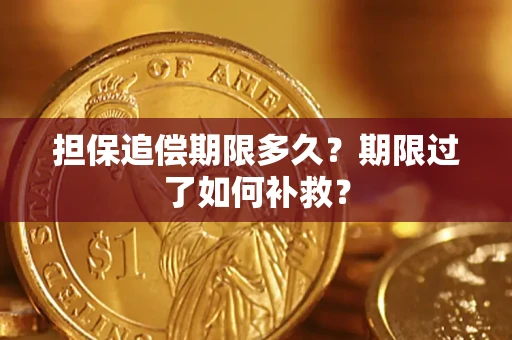 北京担保追偿期限多久？期限过了如何补救？