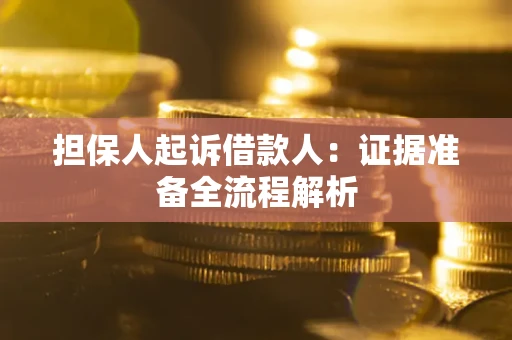 北京担保人起诉借款人：证据准备全流程解析