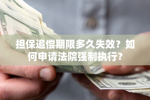 北京担保追偿期限多久失效？如何申请法院强制执行？