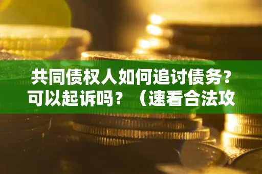 北京共同债权人如何追讨债务？可以起诉吗？（速看合法攻略）