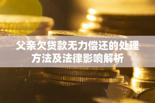 北京父亲欠贷款无力偿还的处理方法及法律影响解析